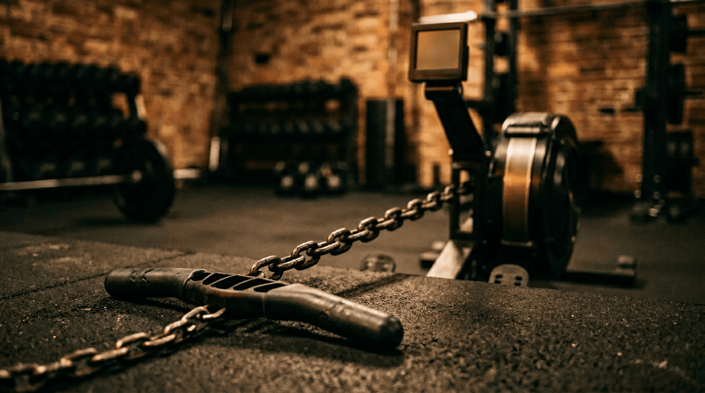 Rowing Machine Workouts for Strength Athletes