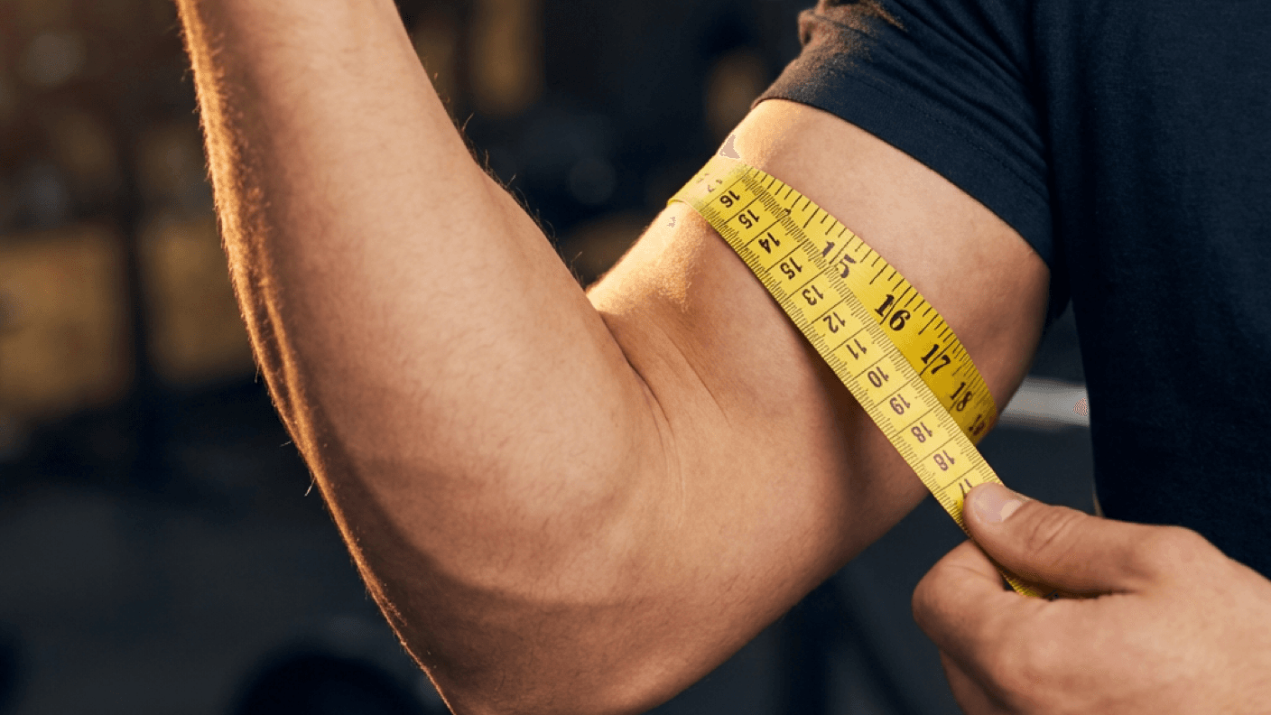 What Arm Size is Considered Big?