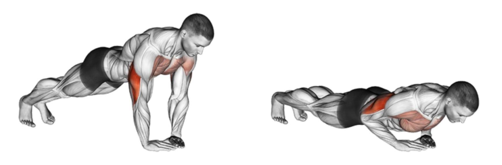 Diamond Push-Ups: Technique, Benefits, and Variations